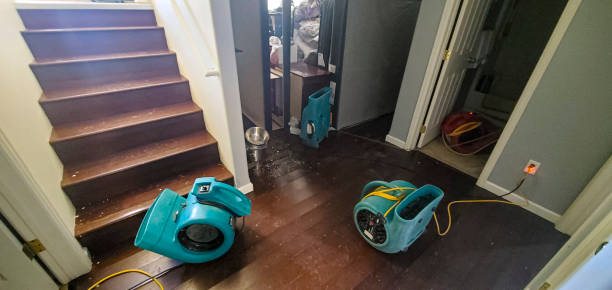 Best Professional water damage repair  in Buckley, WA