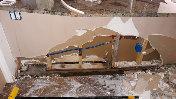 Best Basement water damage restoration  in Buckley, WA