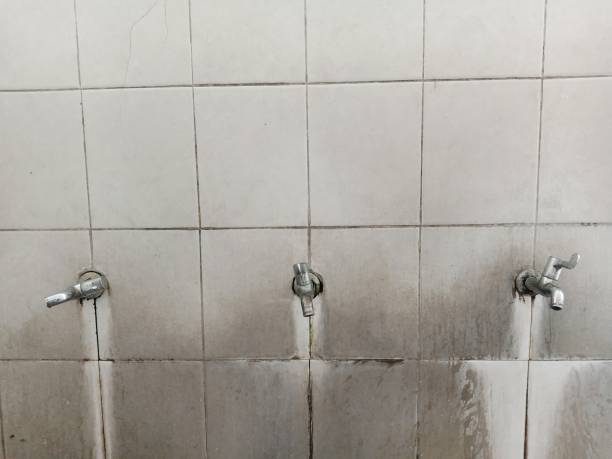 Best 24/7 water damage repair  in Buckley, WA